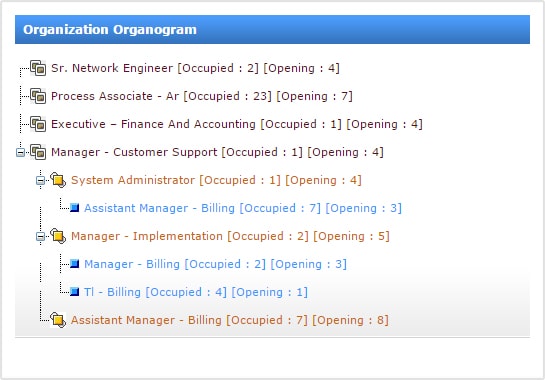 INSYSPAY Organogram Features